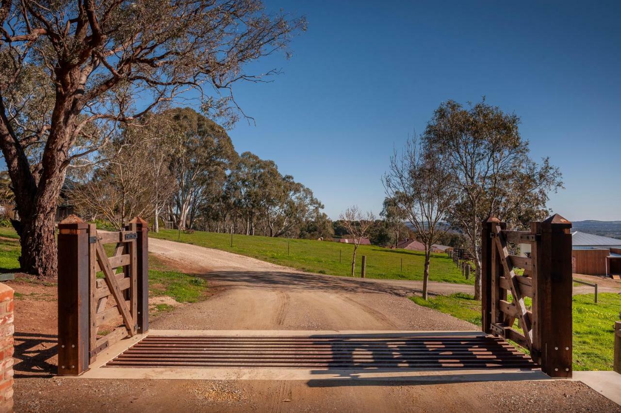 Angaston Saleyards Luxury Accommodation Eksteriør billede